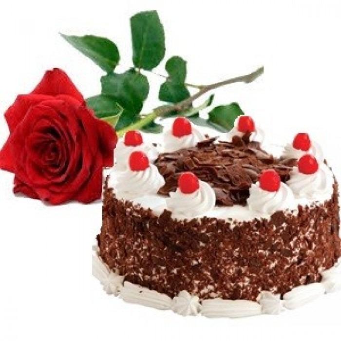 Divine Wishes product965