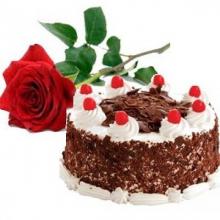 Divine Wishes Divine Wishes